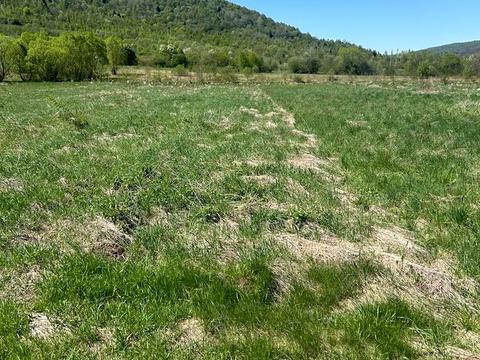 ділянка за адресою 