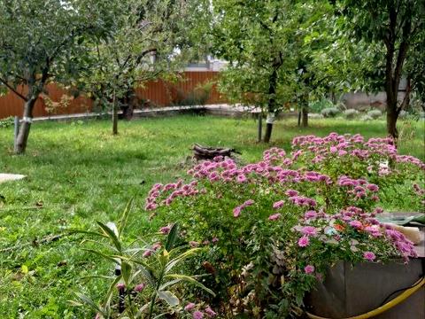 дом по адресу Якова Шепеля ул. (Віталія Примакова), 28