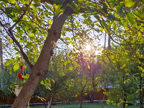 дом по адресу Якова Шепеля ул. (Віталія Примакова), 28