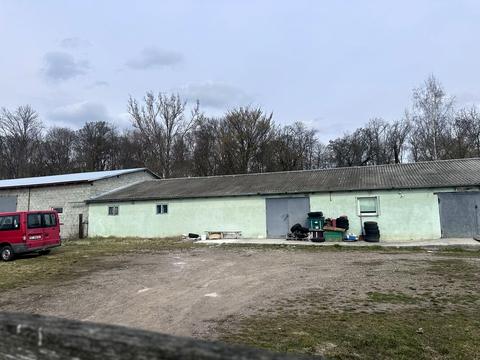 комерційна за адресою Коновальця, 21