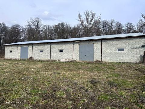 комерційна за адресою Коновальця, 21