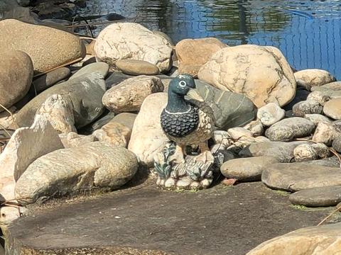 будинок за адресою с. Лісники, Захрестова вул.