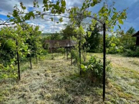 ділянка за адресою Коновальця