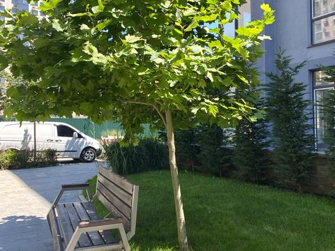 квартира за адресою Марсельська вул., (Будинок 8)