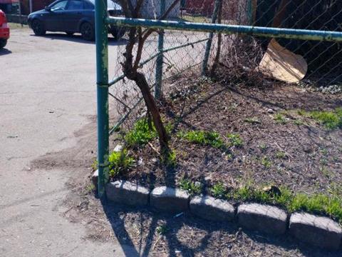 квартира по адресу Центральная ул., 24