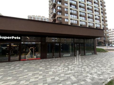 комерційна за адресою Олександра Олеся вул., 2-А