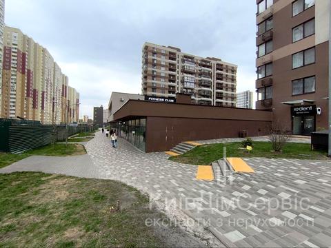 комерційна за адресою Олександра Олеся вул., 2-А