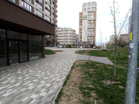 комерційна за адресою Олександра Олеся вул., 2-А