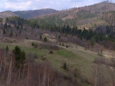 ділянка за адресою 