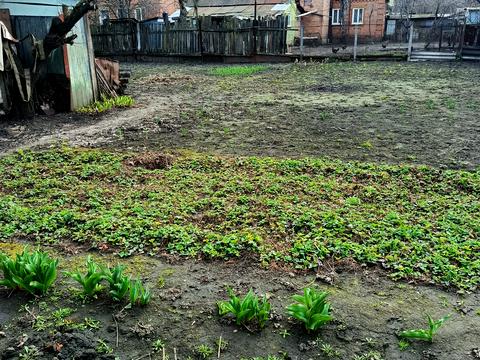 будинок за адресою Щепкіна вул.