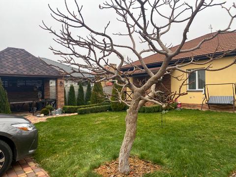 будинок за адресою Оптимист