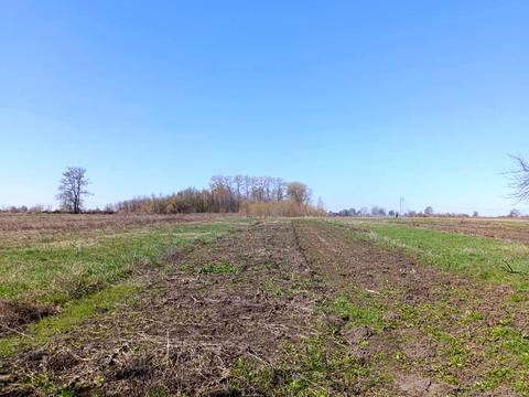 дом по адресу Зарічна, 57