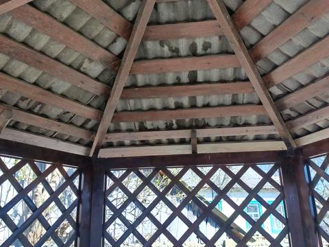 дом по адресу Зарічна, 57