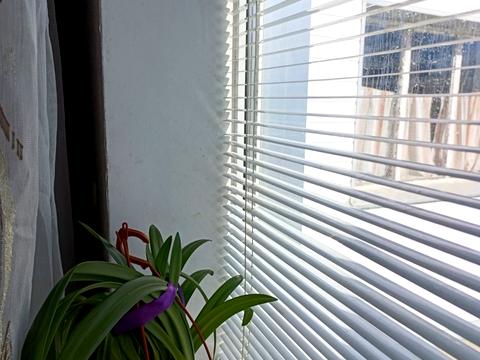 дом по адресу Зарічна, 57