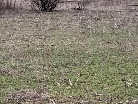 дом по адресу ярова