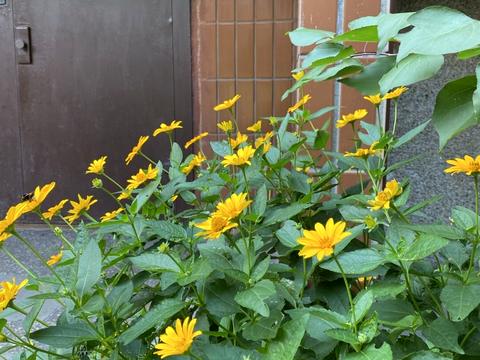 квартира за адресою Академіка Корольова просп., 2-В