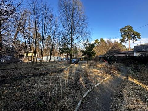 участок по адресу Тюльпановая ул. (Красноармейская)