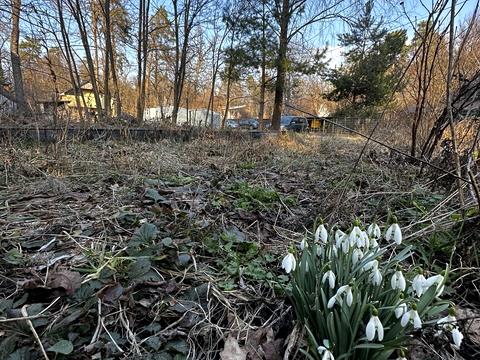 участок по адресу Тюльпановая ул. (Красноармейская)