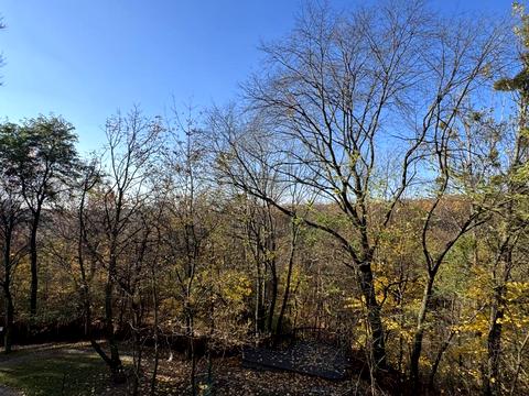 квартира за адресою Пасічна вул., 84а