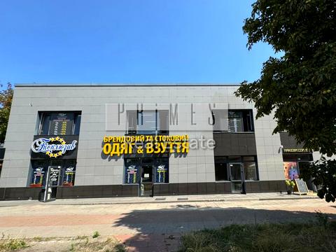 коммерческая по адресу Левка Лукьяненко ул. (Октябрьская), 13