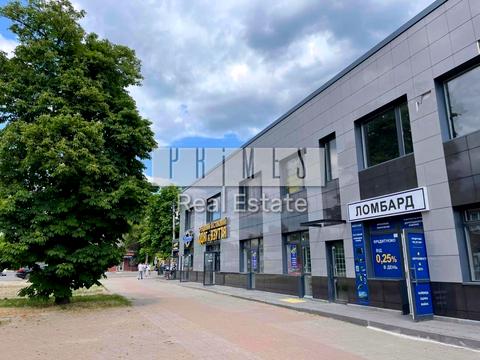 коммерческая по адресу Левка Лукьяненко ул. (Октябрьская), 13