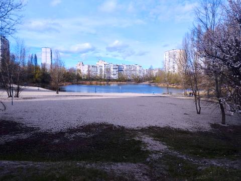 квартира за адресою Володимира Івасюка просп. (Героїв Сталінграду), 41