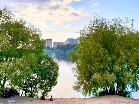 квартира за адресою Єлизавети Чавдар вул., 11