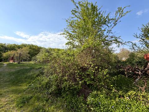 участок по адресу Стріт 15