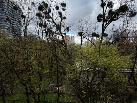 квартира за адресою Костя Гордієнка пров., 10