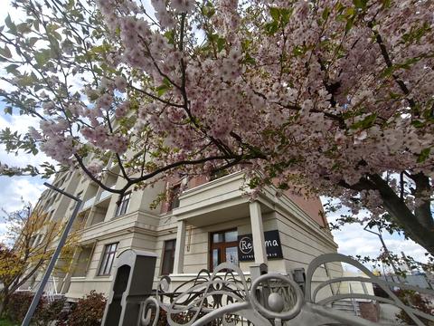 квартира за адресою Трамвайна вул., 29