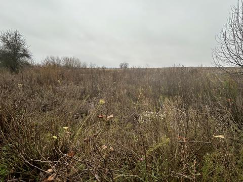 дом по адресу Сумська