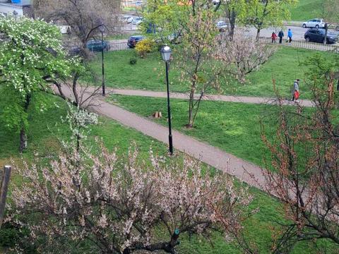 квартира за адресою Андрія Малишка вул., 19