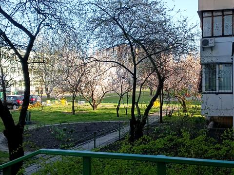 квартира за адресою Ревуцького вул., 11-А