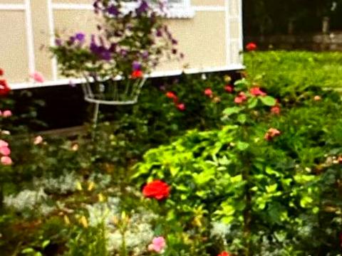 будинок за адресою Шкільна, 41