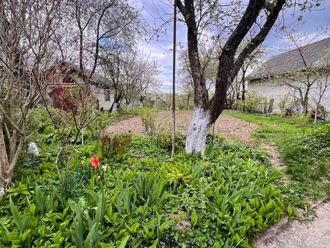 дом по адресу Незалежності