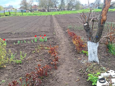 будинок за адресою Дружби вул.