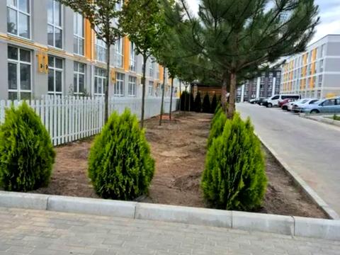 квартира по адресу  ул., 8/1