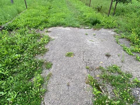 участок по адресу Леси Украинки ул., 28