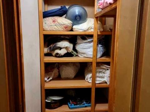 квартира за адресою Петра Радченка вул., 4