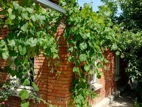 будинок за адресою Варениківський пров., 10
