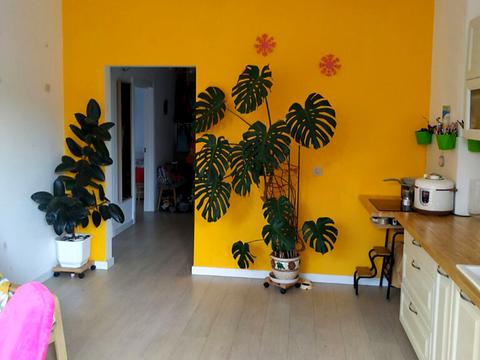 квартира за адресою Павла Лі пров. (Московський), 2-А