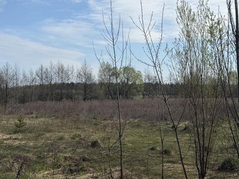 ділянка за адресою Калинівка, 48