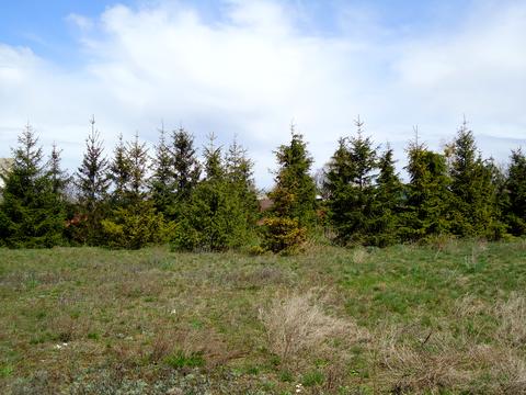 будинок за адресою Тиха, 2