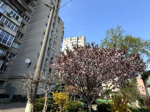 квартира по адресу Писаржевского ул., 11