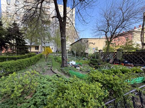 квартира по адресу Писаржевского ул., 11