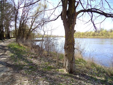 будинок за адресою Тиха, 2