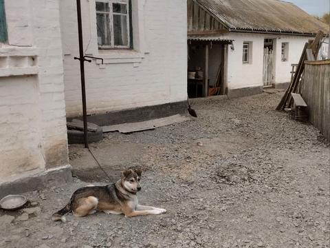 будинок за адресою с. Ропотуха, Успенська, 69