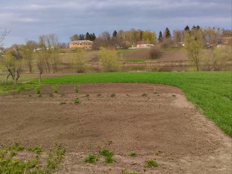 будинок за адресою с. Ропотуха, Успенська, 69