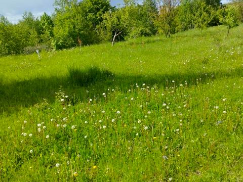 участок по адресу 