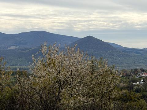дом по адресу присілок Руня